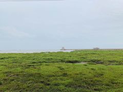 -江山半岛白浪滩景区