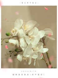 -LJOY丽锦造型·烫发染发