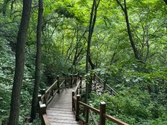 -大岭沟猕猴桃谷风景区