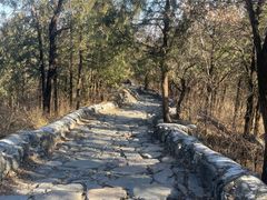 -阳台山自然风景区