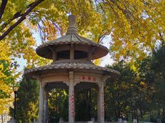 -玲珑塔公园