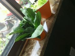 -一天好养生火锅·衢州人自己的火锅(阳光水岸店)