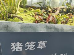 -国家植物园南园
