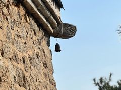 -白水寺森林公园