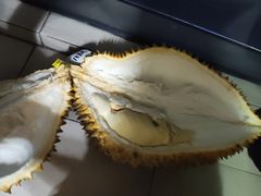 -鹿萤季·营地小馆(皇后公园店)