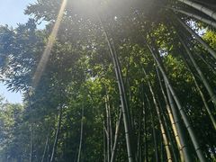 -凤城河风景区