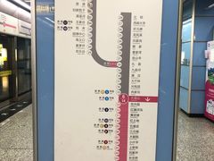 -大龙山(地铁站)