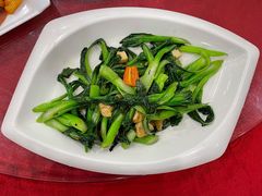 生炒迟菜心-姚林轩