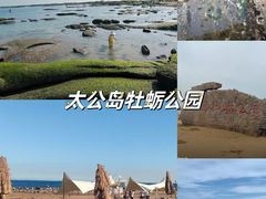 -巧克力渔家.小船海鲜胶东菜(万平口店)