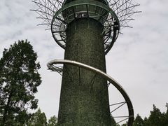 -黄海国家森林公园