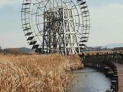 -苏州太湖湖滨国家湿地公园