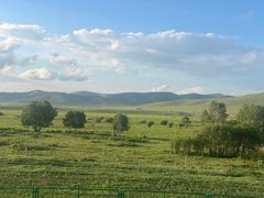 -塞罕坝国家级自然保护区