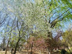 -西安汉城湖景区