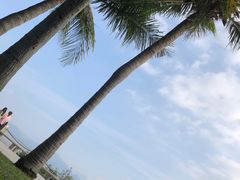 -福田红树林生态公园