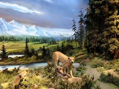 -陕西自然博物馆