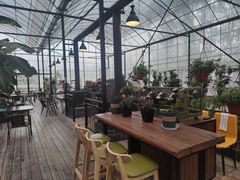 露天位-MUSEO COFFEE咖啡博物馆
