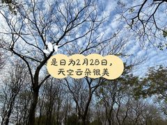 -天适樱花悠乐园