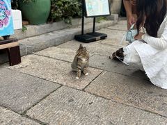 -回龙窝历史文化街区