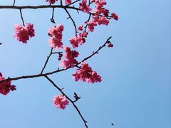 -福清灵石山国家森林公园