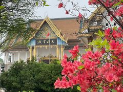 -报恩禅寺