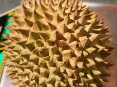 -都念榴莲·城市榴莲
