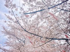 -新·淮海坊(淮海西路店)