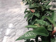 -滕头生态酒店(奉化店)