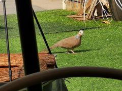 -CAMP.33露营烤肉·团建聚餐(创智天地店)