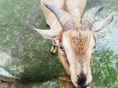 -广东茂名森林公园