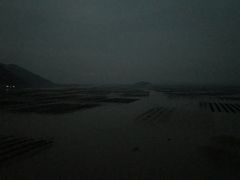 -北岐滩涂