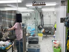 -唐小姐の猫狗洗护·购宠旗舰店(周浦万达店)