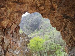 -大连天门山国家森林公园
