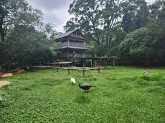 -昆明动物园