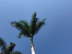 -三亚太阳湾柏悦酒店