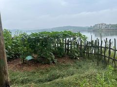 -天目湖山水园