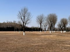 -汉长安城未央宫国家考古遗址公园