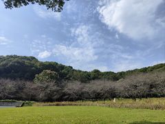 -苏州上方山国家森林公园