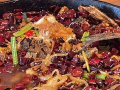 -老板恋上鱼(恒隆广场店)