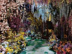 -正佳雨林生态植物园