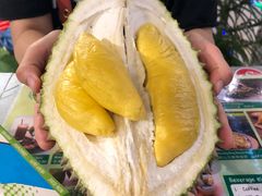 -都念榴莲·城市榴莲