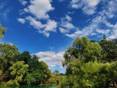 -长白岛森林公园