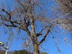-狼山风景名胜区