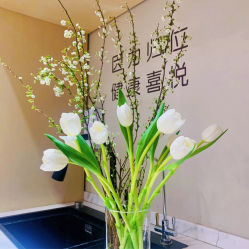 -归位瑜伽＆普拉提馆