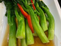 白灼广东芥蓝-玉兰苑一等茶餐厅