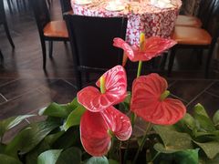 -鹭岛新泉客家菜·海鲜·融合菜(莲前店)