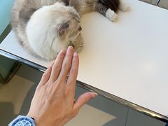-怪兽屋·羊驼·猫咖·狗咖(俊华广场店)