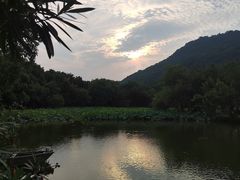 -八卦田遗址公园