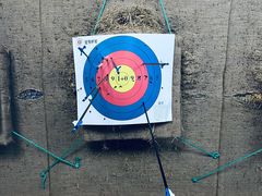-道顺射箭·团建·骑射(张杨路店)