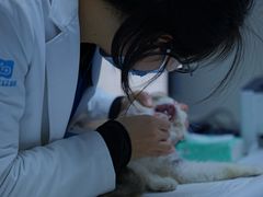 -美联众合动物医院·24h转诊中心