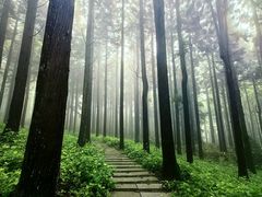 -罗田薄刀峰风景区
